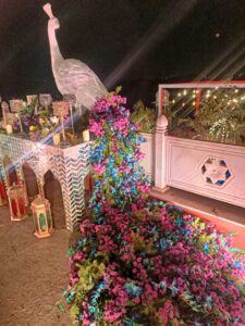 img20230107185823
