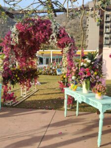 img20240212083411