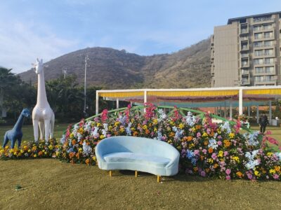 img20240212083444